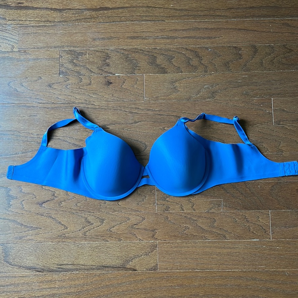 Warner’s 38D Full Coverage Blue Bra